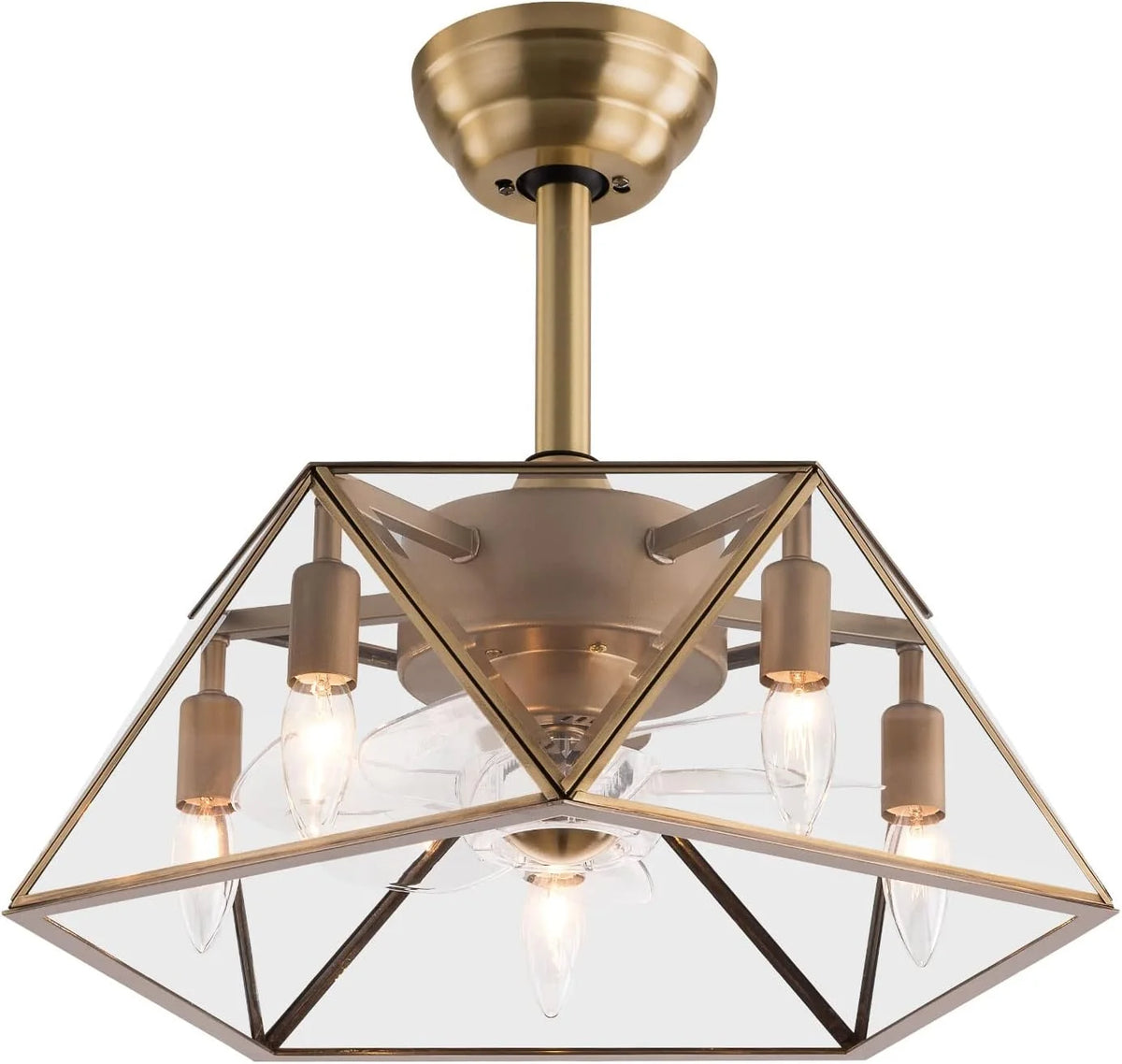 18.5'' Caged Ceiling Fan with Lights Remote Control I455
