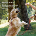 Rolled Leather Dog Collar V91064