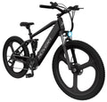 Black Electric Bicycle with 350W Motor F149