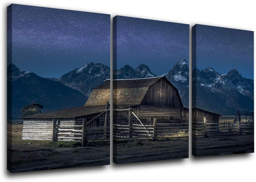 Framed Canvas Landscape Artwork Pack of 2 Y163740
