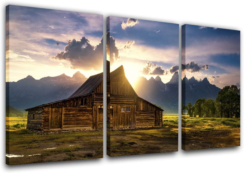Framed Canvas Landscape Artwork Pack of 2 Y163740