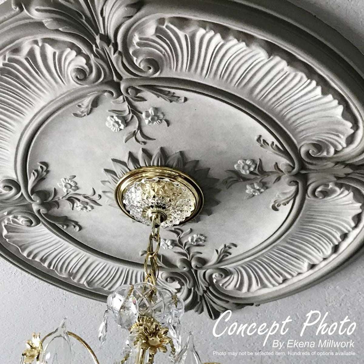 Ceiling Medallion N58341