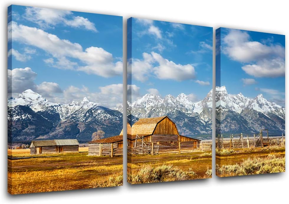 Framed Canvas Landscape Artwork Pack of 2 Y163740