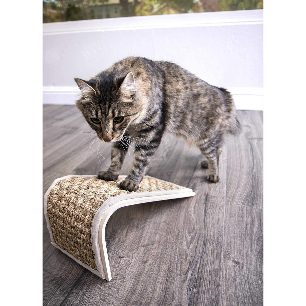 Sea Ramp Floor Scratcher with Catnip M82900