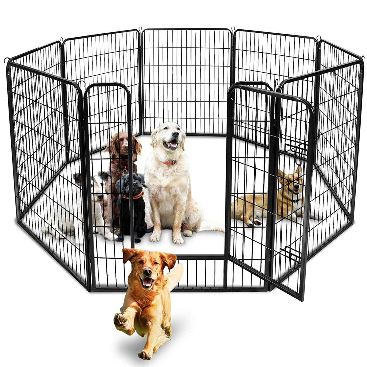 Foldable Metal Exercise Pen & Pet Playpen B249116