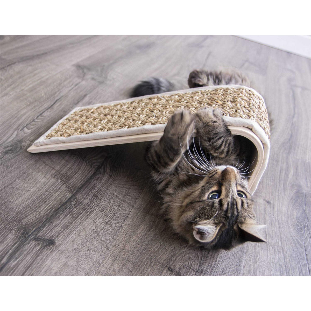 Sea Ramp Floor Scratcher with Catnip M82900
