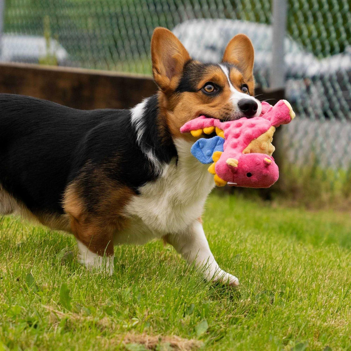 Skinny Chew Guard Dog Toy S423811