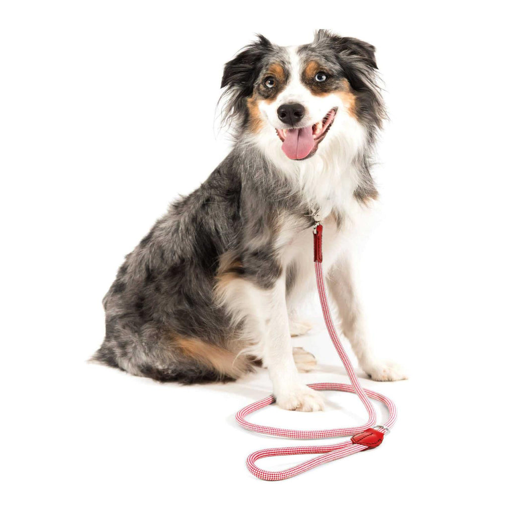 Check Rope Dog Leash B147644