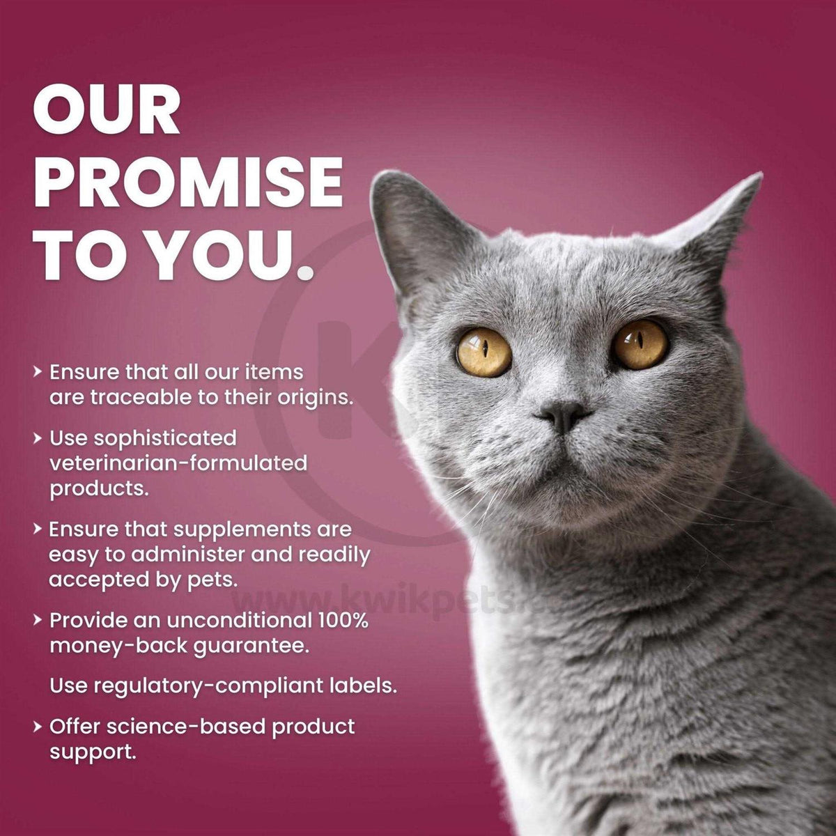 Antimicrobial Wound Spray for Cats O1895