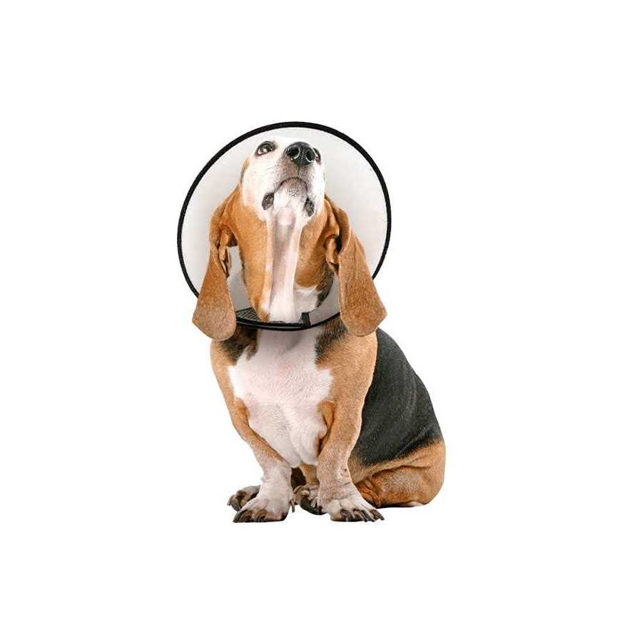 Protective Cone Collar W91191