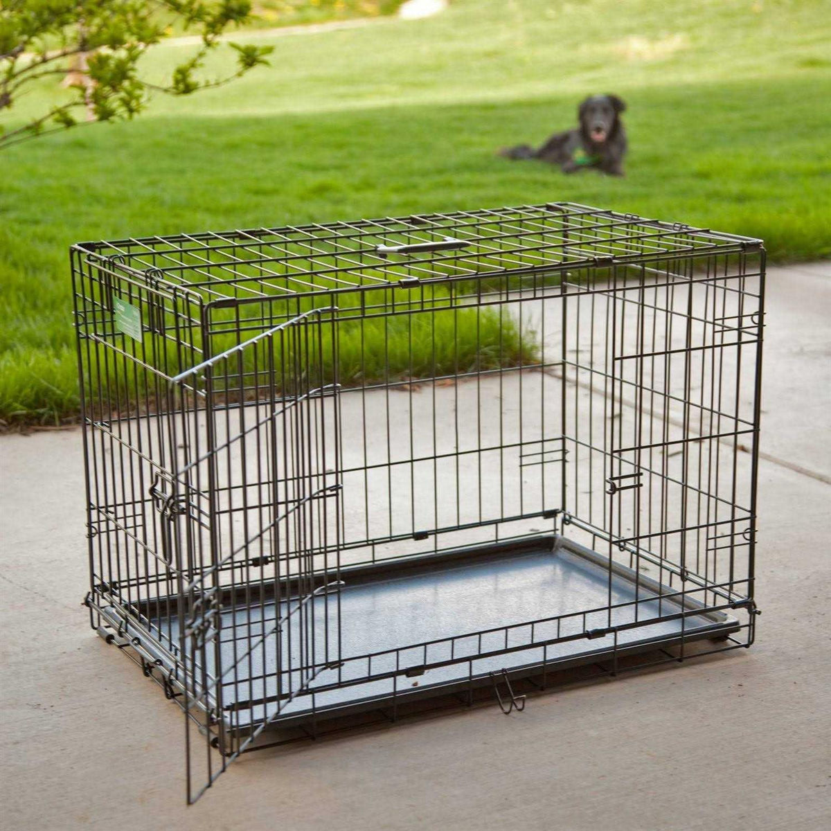 Double Door Fold Carry Dog Crate O622961