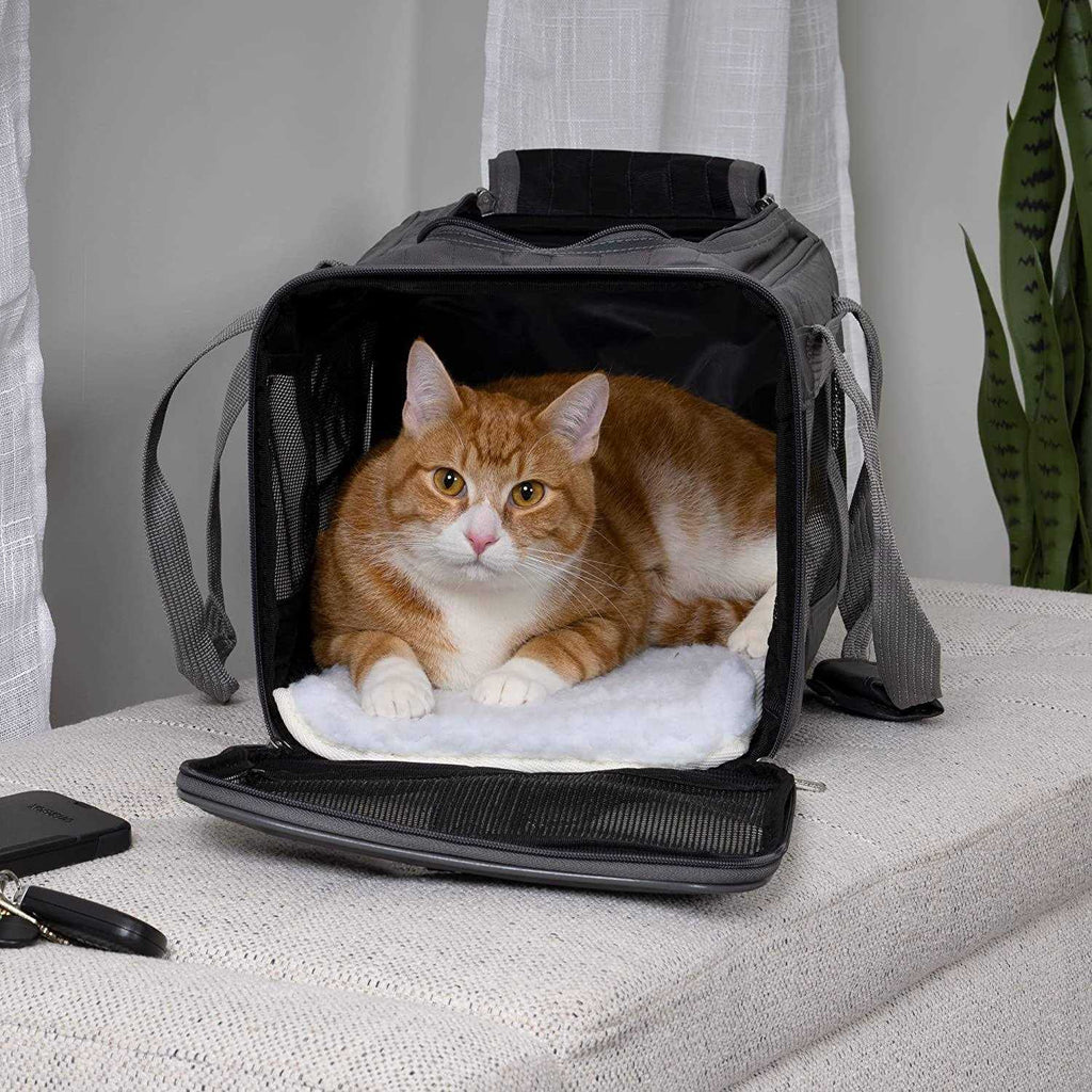 Airline Approved Pet Carrier C8711