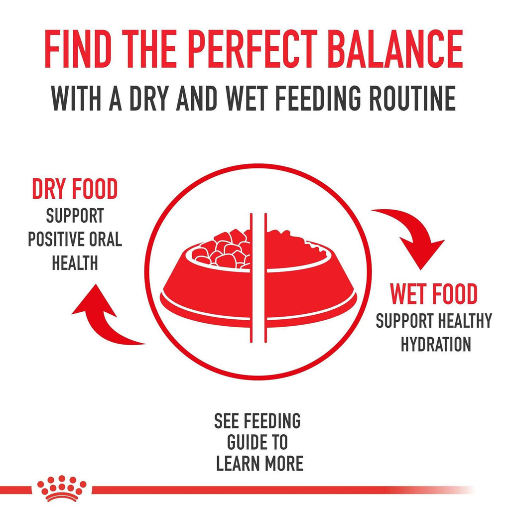 Small Weight Care Dry Dog Food P105