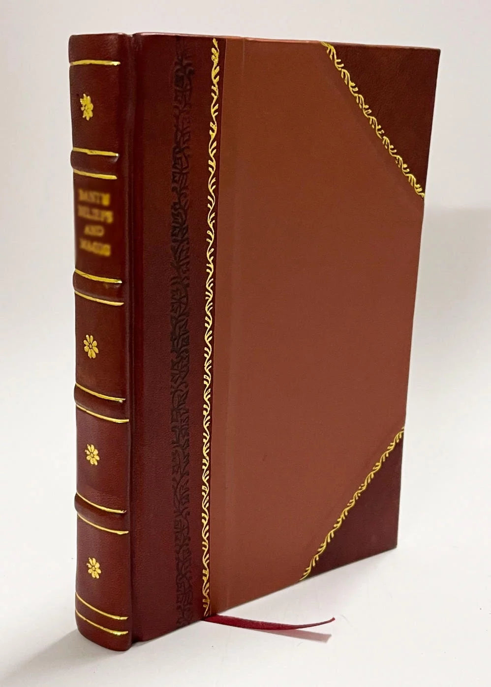 Leather Bound Book Y868710