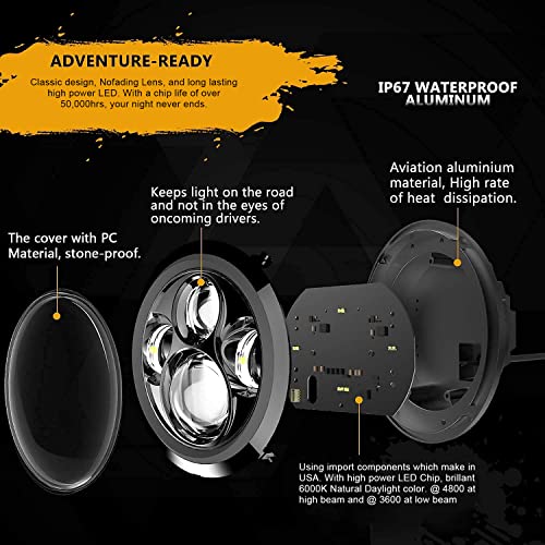 7 Inch Headlight Fog Lights Combo C48103