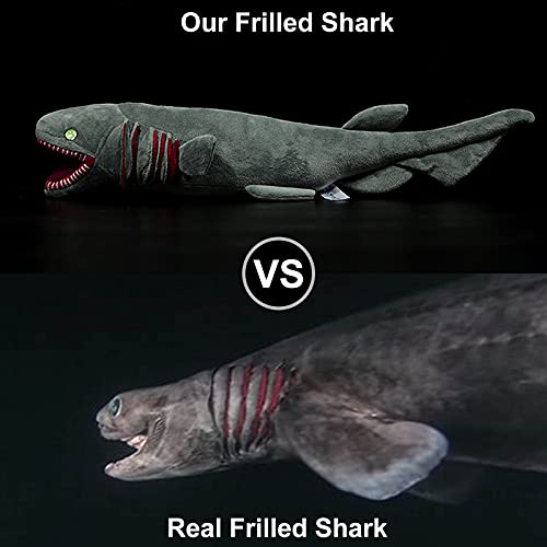 Grey Frilled Shark Plush Toy T314499