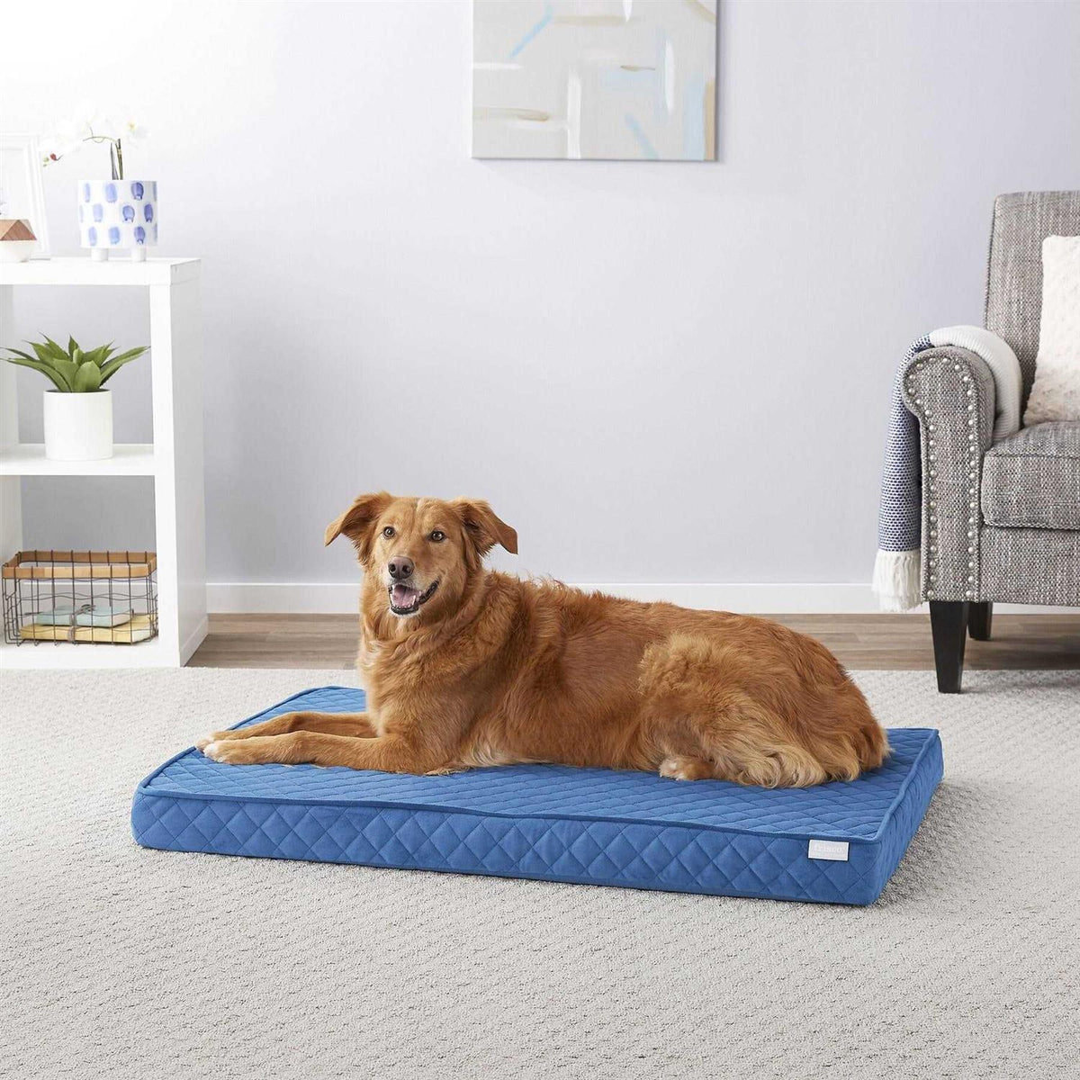 Quilted Orthopedic Cat Dog Bed with Removable Cover M97893