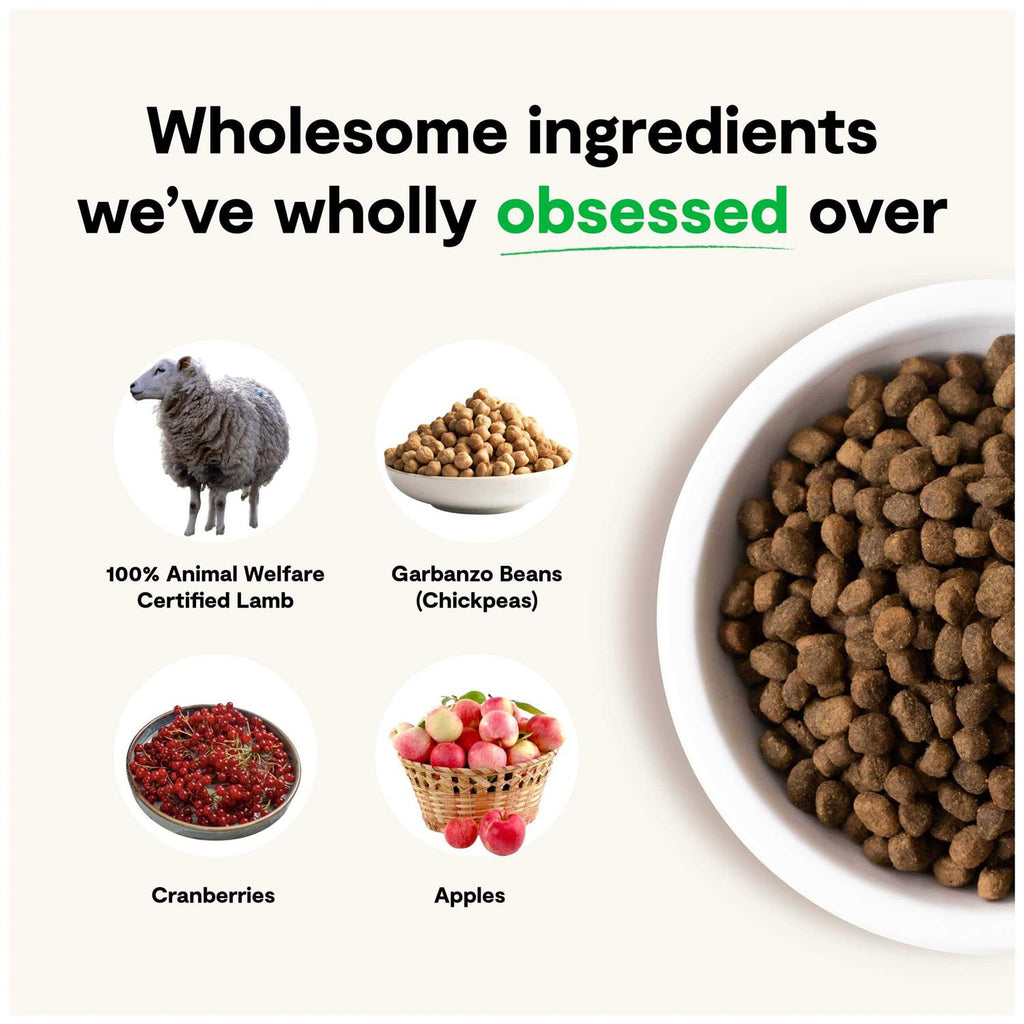 Grain-Free Pasture Raised Lamb Dry Dog Food G247