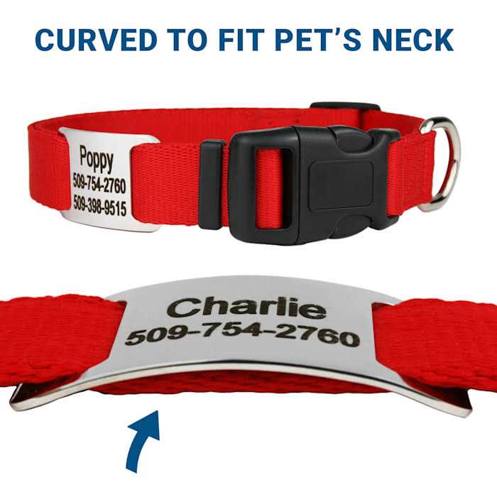 Stainless Steel Slide-On Dog & Cat Tag Y140