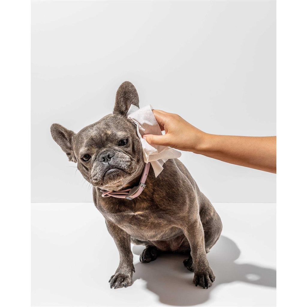 Pet Grooming Wipes E34102