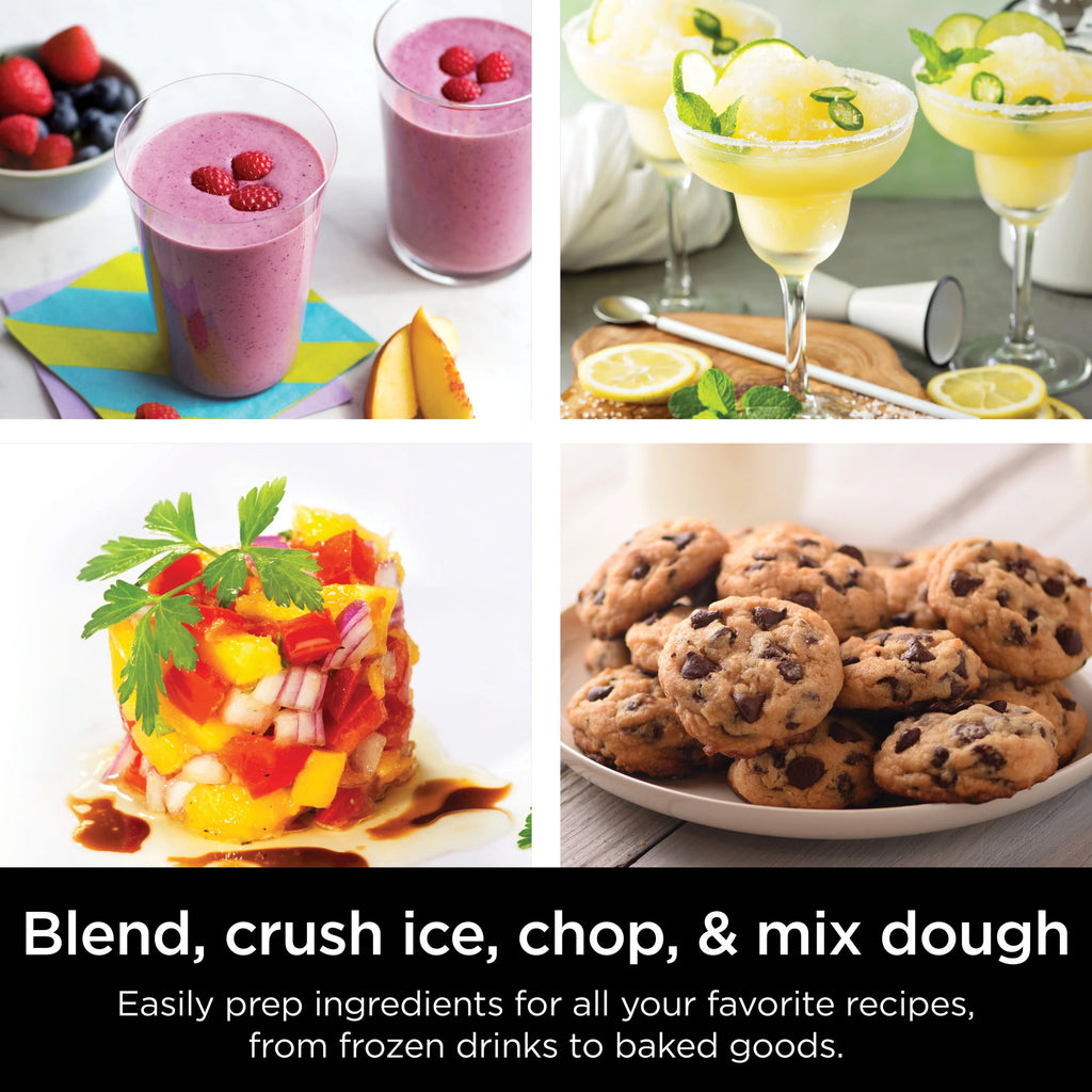 Blender and Food Processor Q677