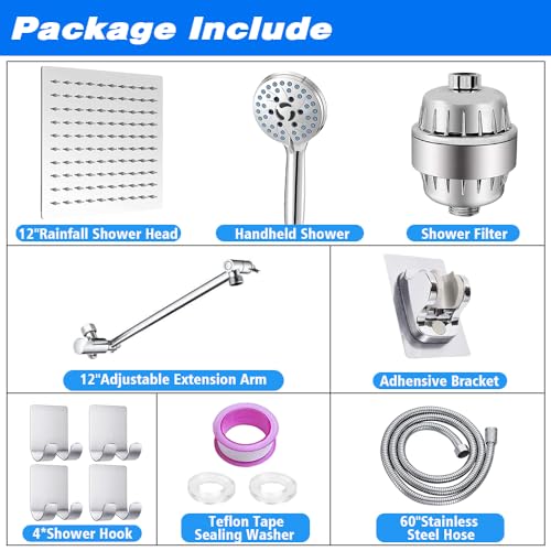 12" Rain Shower Head with Handheld Spray Combo F79013