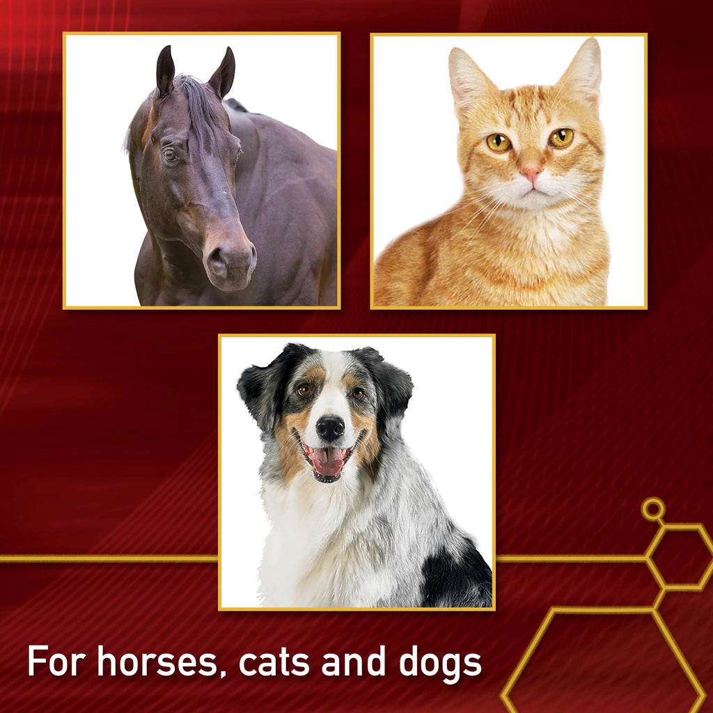 MSM Joint Supplement for Horses 4 Pounds B5153
