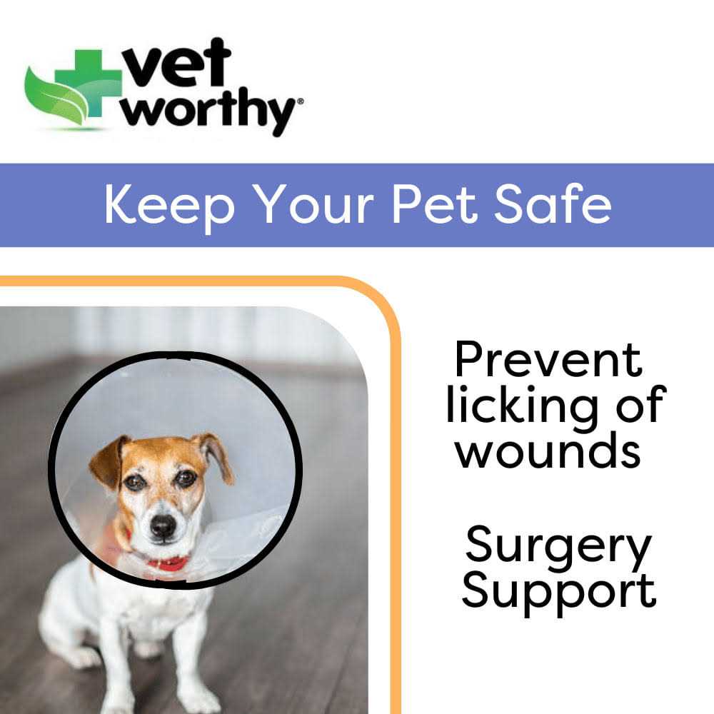Protective Cone Collar W91191