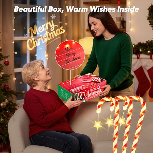 24 Pack Candy Cane Pathway Lights 10 Modes Waterproof Christmas Yard Stakes Y29996