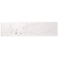 Glossy Ceramic Wall Tile T865076
