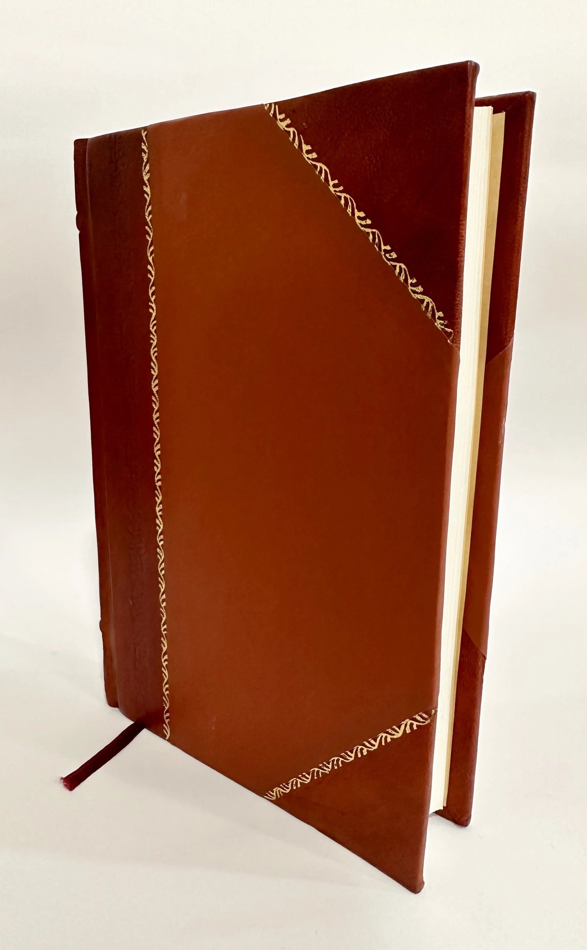 Leather Bound Book Y868710