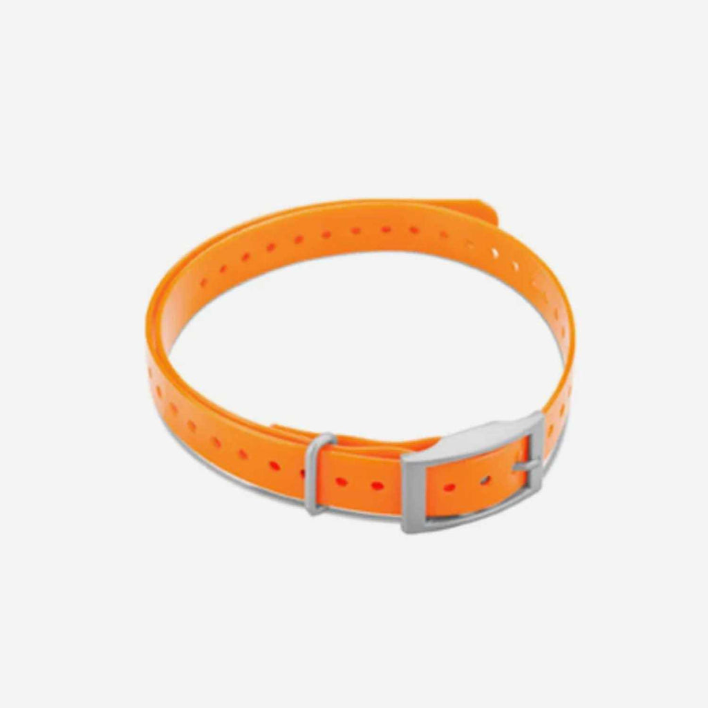 Collar Strap R422