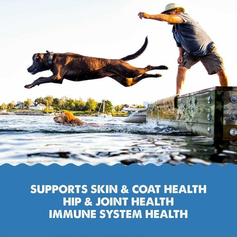 Liquid Omega-3 Supplement for Dogs T630
