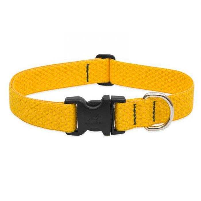 Dog Collar Z422