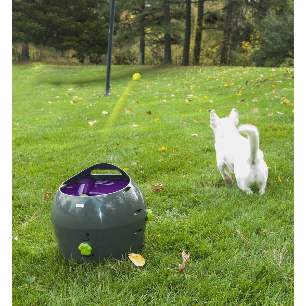 Automatic Ball Launcher Dog Toy P96452