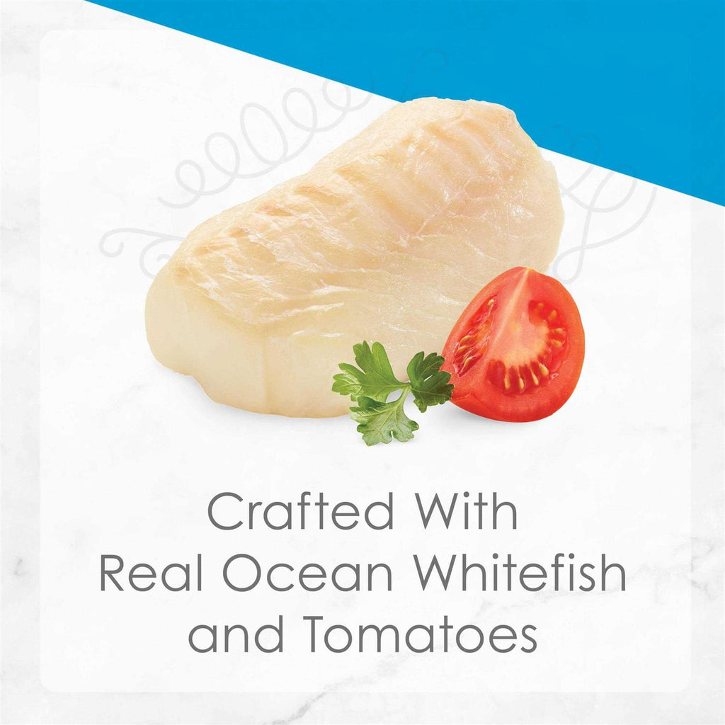 Ocean Whitefish Entree with Tomato in Gravy Wet Cat Food Z462480
