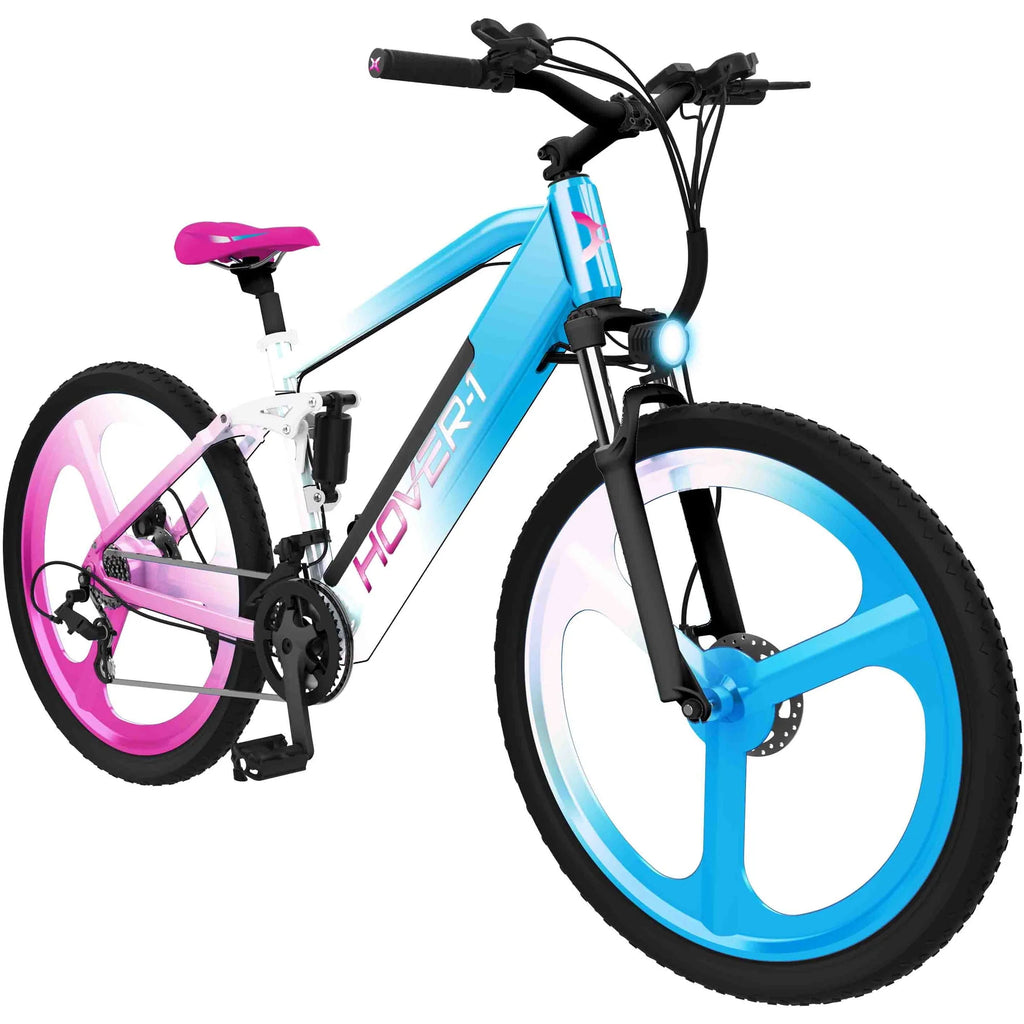 Black Electric Bicycle with 350W Motor F149