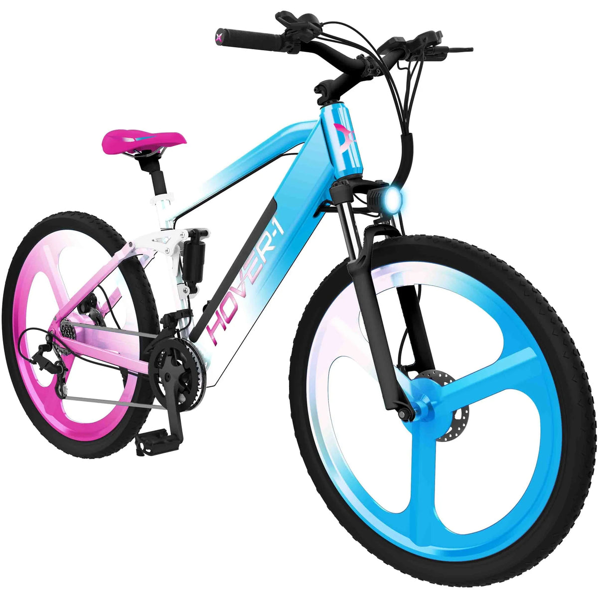 Black Electric Bicycle with 350W Motor F149