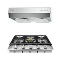 30 Inch Cooktop and Under Cabinet Range Hood Y1790