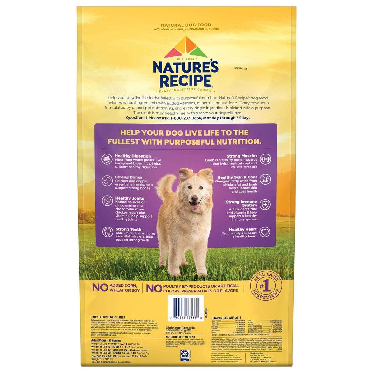 Adult Dry Dog Food C7591