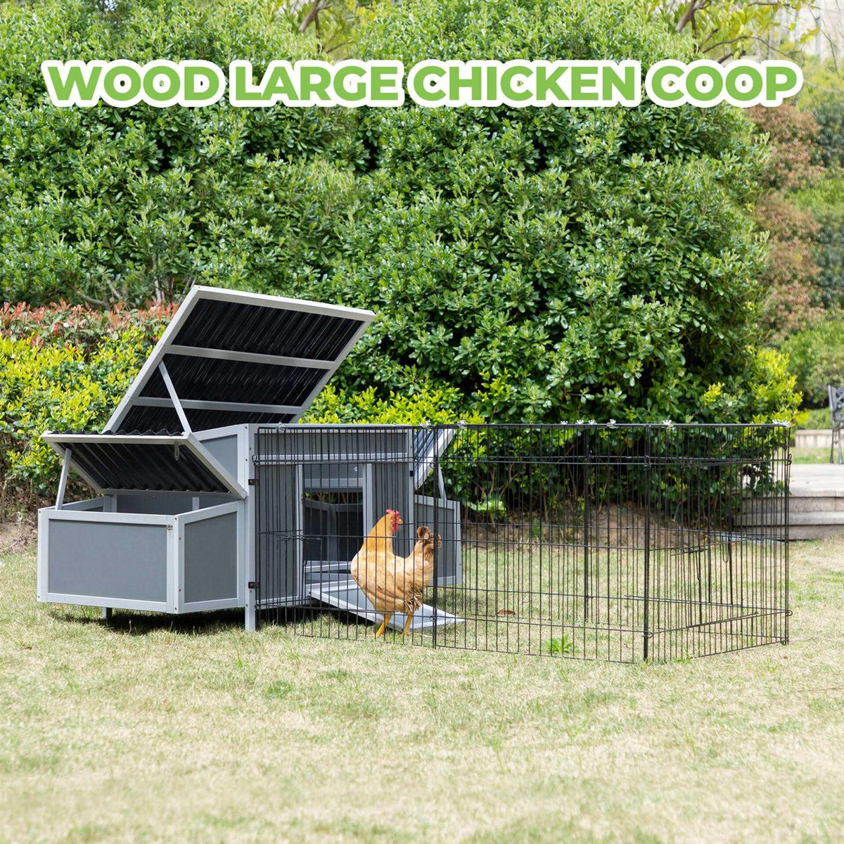 Outdoor Wooden Chicken Coop with Waterproof Roof R71212